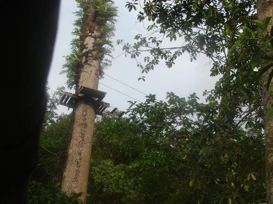 Tree Top Adventure Park Koh Chang